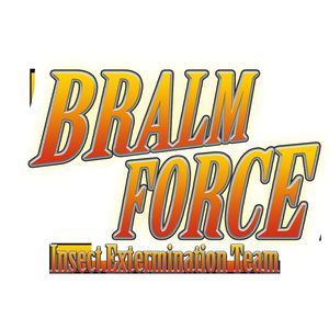 play Bralm Force: Insect Extermination Team