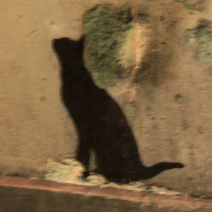 play The Fishing Cat