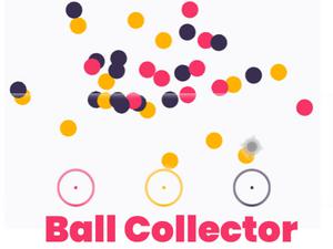 play Ball Collector
