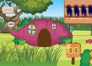 play Tortoise Toro House Escape