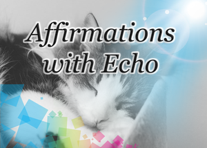 play Affirmations With Echo