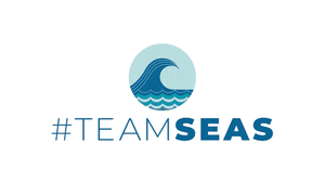 play #Teamseas