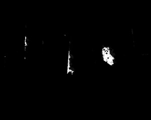 play Survive The Night