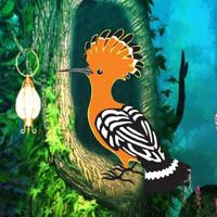 play Hoopoe Bird Escape Html5