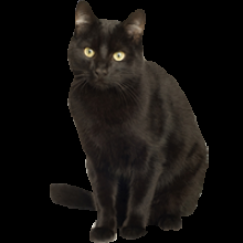 play Spooky Jam 2021 Game!