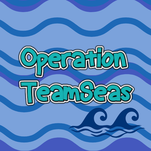 play Operation Teamseas