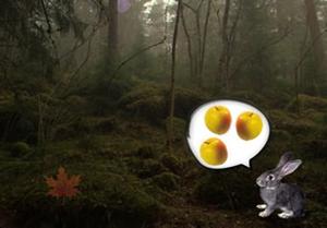 play The Foggy Forest