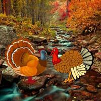 Big-Turkey Pair Escape Html5