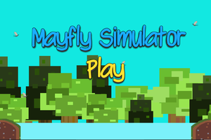 play Mayfly Simulator