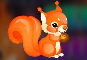 play Seed Squirrel Escape