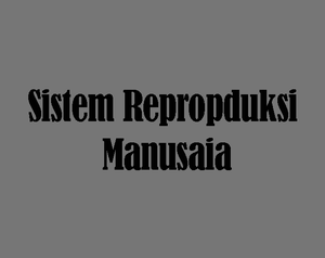 play Sistem Reproduksi Manusia
