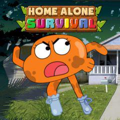 play Home Alone Survival