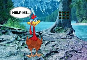 play Find My Feather