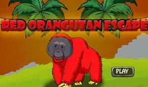 Red Orangutan Escape