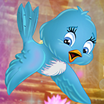 play Cute Blue Bird Escape