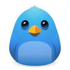 play Birdie
