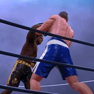 play Ultimate Boxing