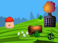 play G2L Toco Escape Html5