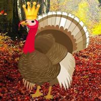 play G2R-Seeking Turkey Family Html5