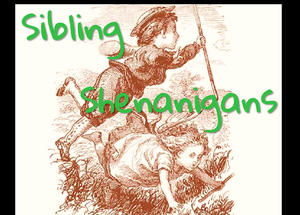 play Sibling Shenanigans