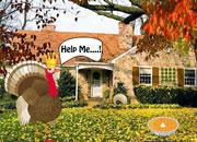 play Seeking Turkey Family