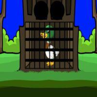 play G2M Duckling Escape Html5