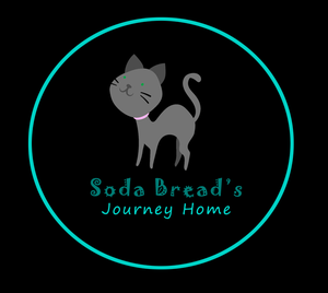 play Soda Bread Learns To Cat