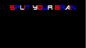 play Split Your Brain