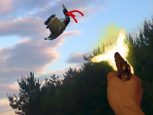 play Duck Shot