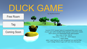play Duck Game