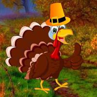 Big-Wacky Turkey Forest Escape Html5