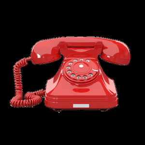 play What'S That Noise?