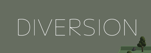 play Diversion