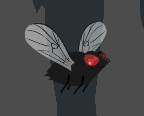play Fruit Fly Frenzy