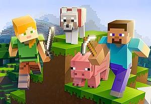 play Minecraft