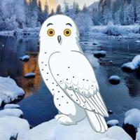 Wow-Snow Owl Escape Html5