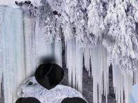 play Snow Owl Escape