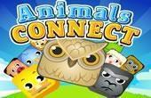 play Animals Connect
