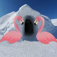 Hog-Winter Igloo Land Escape Html5