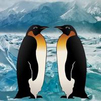 play Big-Penguin Island Escape Html5