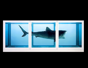 play Den Väldiga Hajen