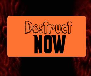 play Destruct Now