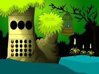 G2L Cage Bird Escape Html5