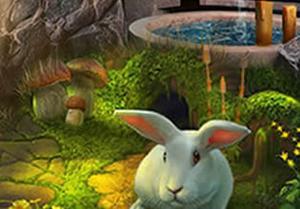 play Saucier Rabbit Escape