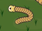 play Forest Slither Snake