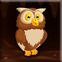 play G2J Cave Owl Escape