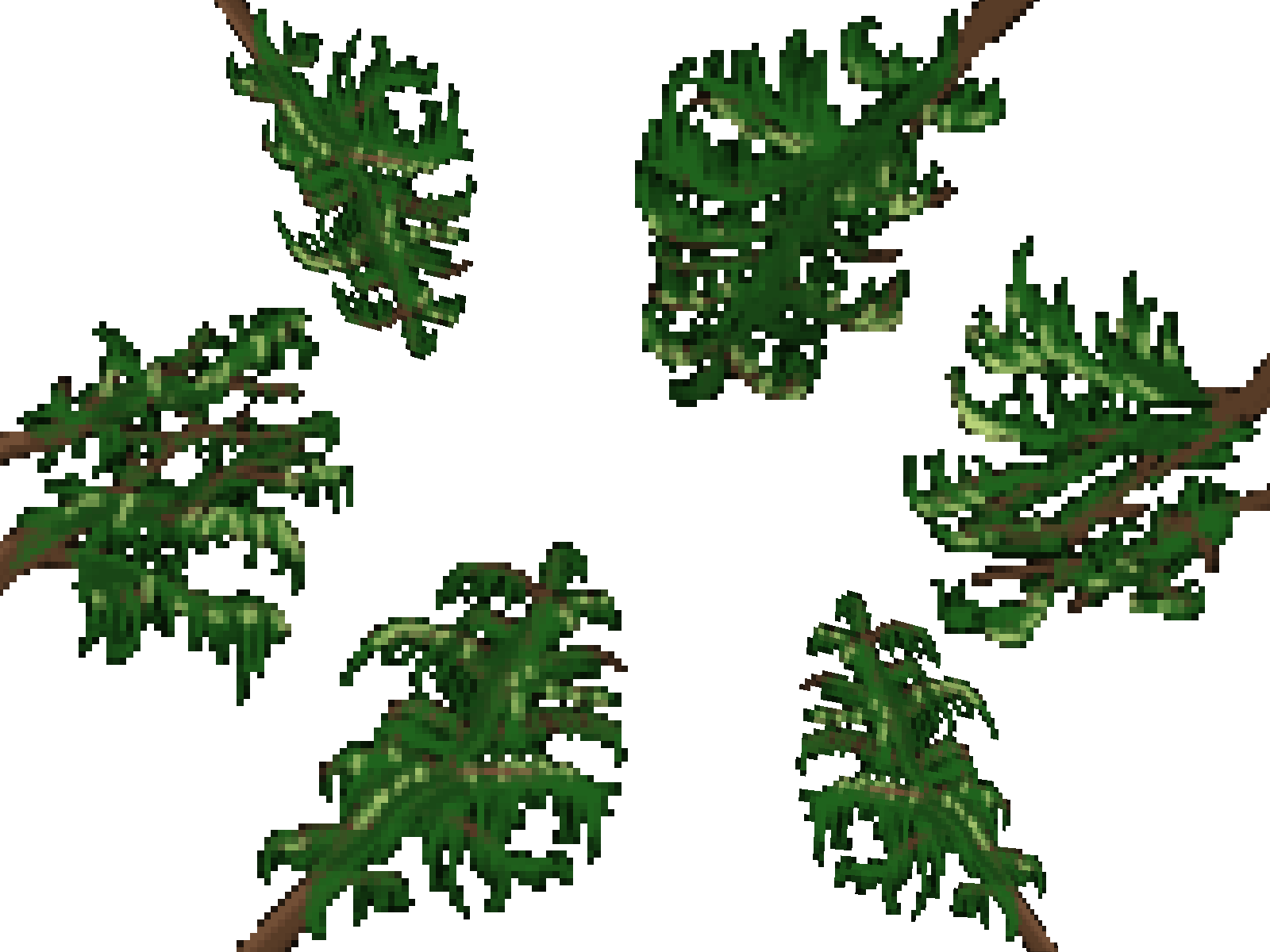 play Rooted