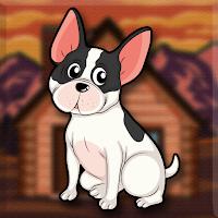 play G2J Boston Terrier Escape