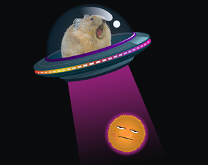 play Unidentified Fuzzing Hamster