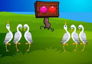 play Pretty Bird Escape